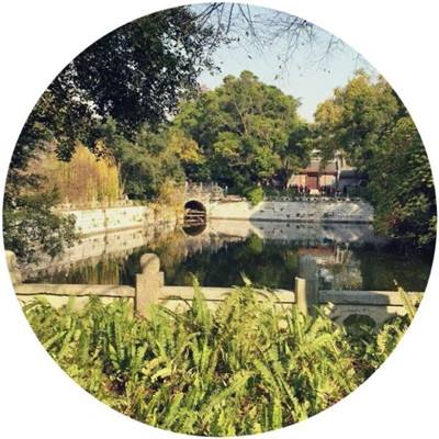 植物医生IPO：当品牌回归价值原点